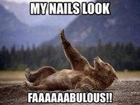 Fabulous Nails.jpg