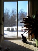 100_1374.jpg