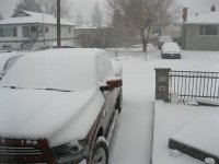 IMG_3906.jpg