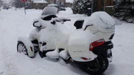 Spyder Snowed In.jpg