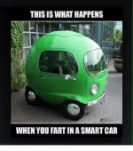 Fart in a Smart.jpg