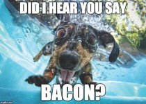 Bacon.jpg