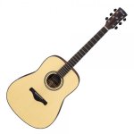 acustic.jpg