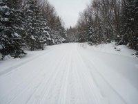 DSC00254.jpg