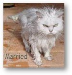 Women Married.jpg