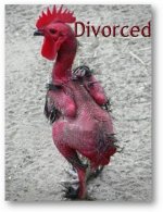 Men Divorced.jpg