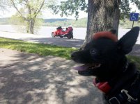 IMG_20120502_124853.jpg