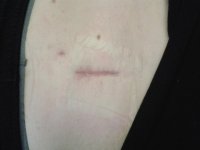 20120505_202547.jpg