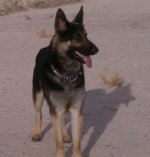 IMAG0978.jpg
