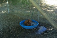 IMAG0051.jpg
