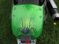 IMG_5364.jpg