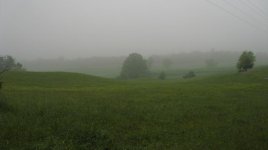 IMG_0005.jpg