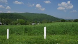 IMG_0017.jpg