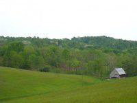 IMG_0065.jpg