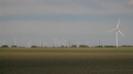 IMG_0087.jpg