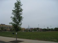 IMG_0125.jpg