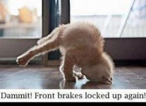 front brakes.jpg