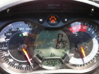 5000 miles rss roxy.jpg