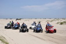 spyders on the beach.jpg