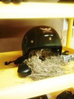 2012-05-28 20.42.22.jpg