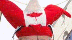 r7933_1.gif