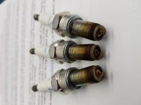 20180320_125656.jpg