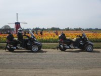 Tulip ride 008.jpg