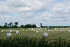 zmarshmallow farm.jpg