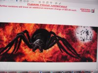 spyder 2.JPG