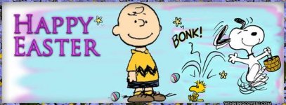 d2f4cf670b7ae1727056c8c70dc28c5f--snoopy-charlie-snoopy-peanuts.jpg