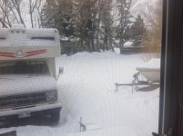 IMG_0165.jpg