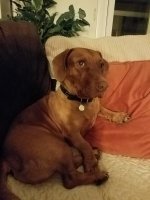 20180415_003814.jpg