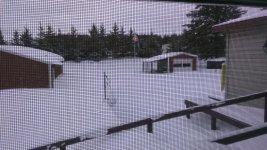 IMG_20180416_083047.jpg