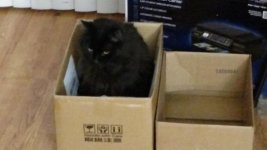 kitbox1.jpg