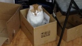 kitbox2.jpg