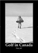 bdae18480bc8cb68309a7c06bf02a5c8--funny-friday-meanwhile-in-canada.jpg