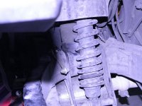 Rock guard 7.jpg