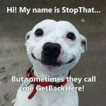 D5818E36C824407C959E76DDBECF33EF.jpg