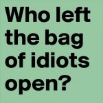 Bag of Idiots.jpg