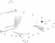 Shark dot.jpg