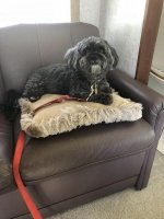 IMG_3061.jpg