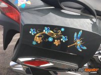 Dragonfly saddle bags 2.jpg