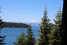 IMG_9578.jpg