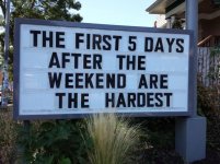 First 5 days.jpg