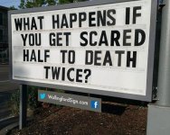 Scared half to death.jpg