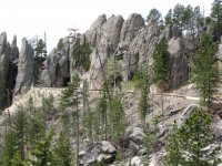 Custer State Park 034.jpg
