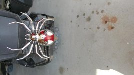 20180614_170143.jpg