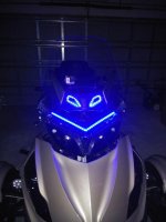 Blue Eyes.jpg
