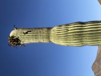 B315ECCA-D7C1-4936-8A69-F67FA1513D0C.jpg