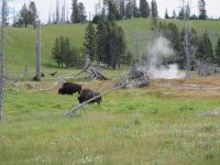 Deadwood Rally 027.jpg Deadwood Rally 027.jpg